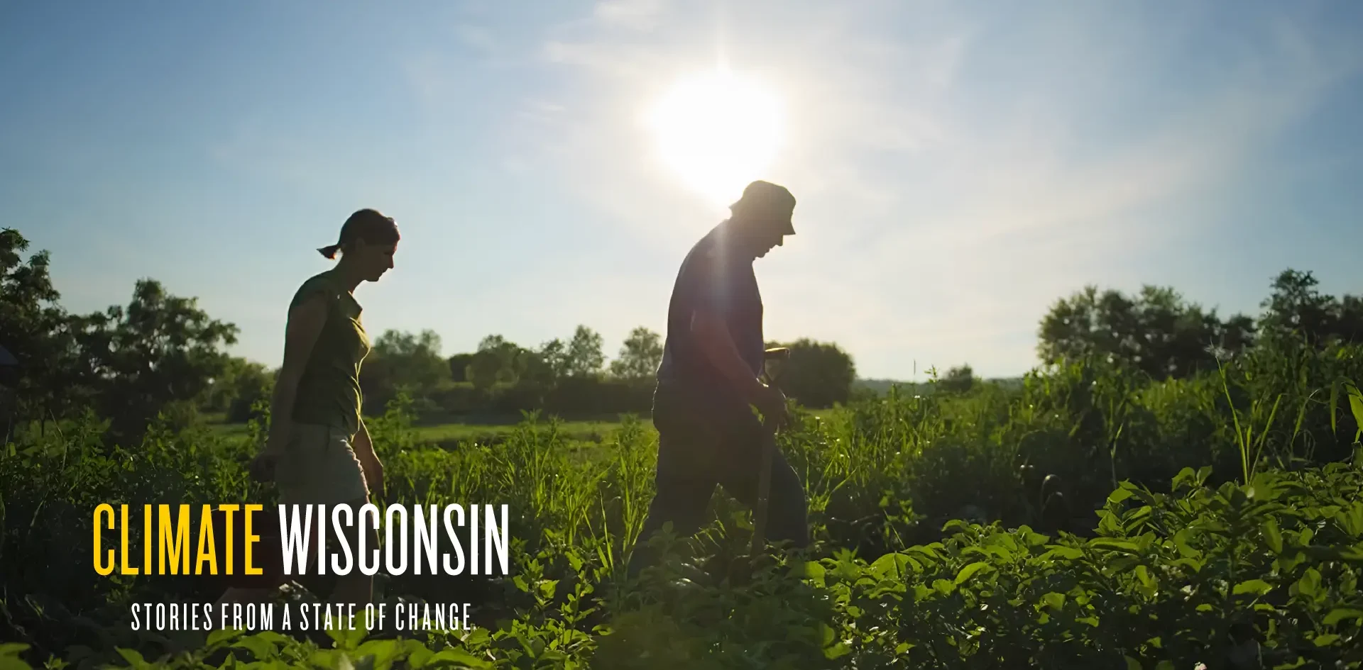 Two adults inspecting a crop field on a sunny day in Wisconsin