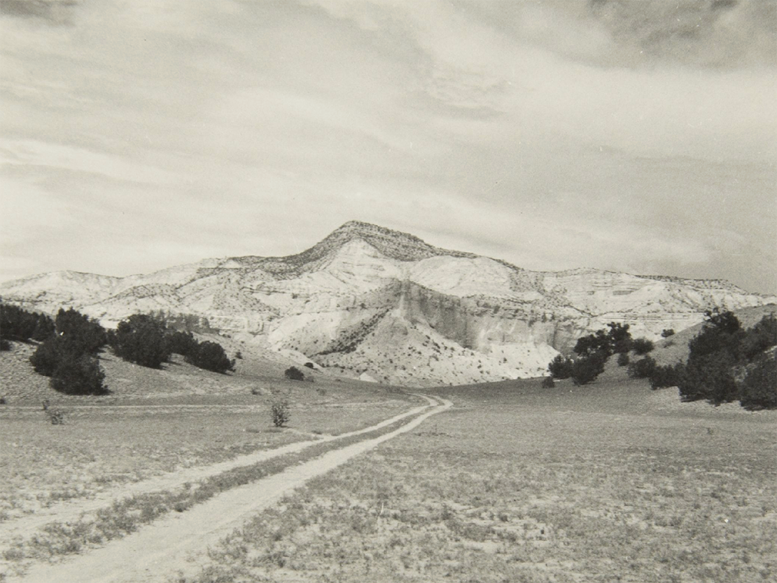 A black and white photograph of a landscape, showing some dry ground in the foregroudn, low trees in the midground, and mountains in the distance.