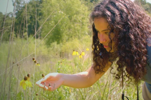 A person with long, curly dark hair leans in to closely examine a yellow coneflower (likely a prairie coneflower or Ratibida pinnata) in a sunny wildflower meadow, with tall grasses and more yellow blooms visible in the background.