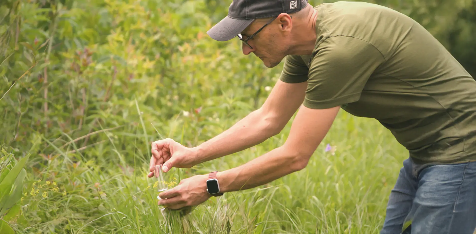 Person collecting samples in tall grass