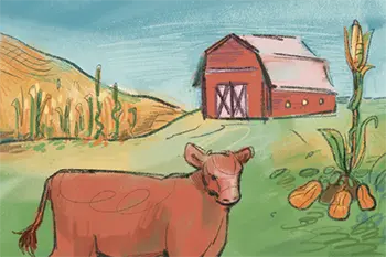 Thumbnail for Food and Farming is an illustration of a beef cattle with a barn in the background