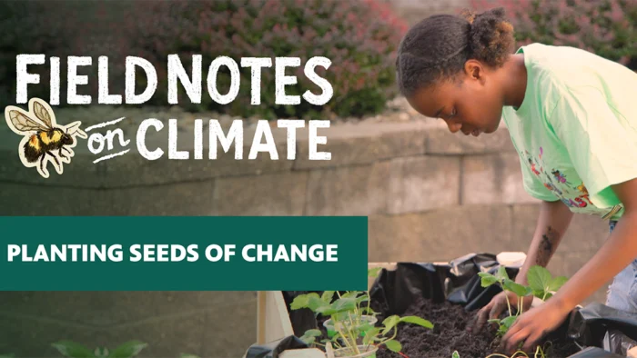 Social sharing graphic for "Field Notes on Climate" featuring a young girl tending seedlings in a raised garden bed, with the episode title "Planting Seeds of Change" in a teal banner.