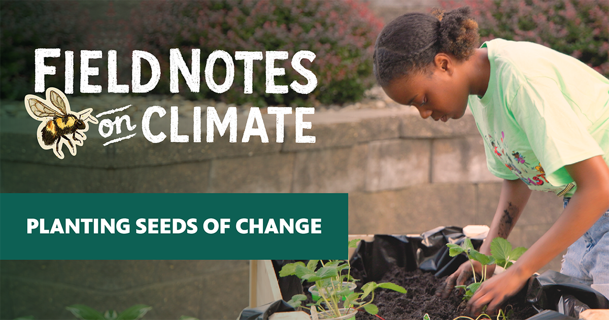 Social sharing graphic for "Field Notes on Climate" featuring a young girl tending seedlings in a raised garden bed, with the episode title "Planting Seeds of Change" in a teal banner.