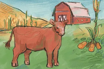 Thumbnail for Food and Farming is an illustration of a beef cattle with a barn in the background