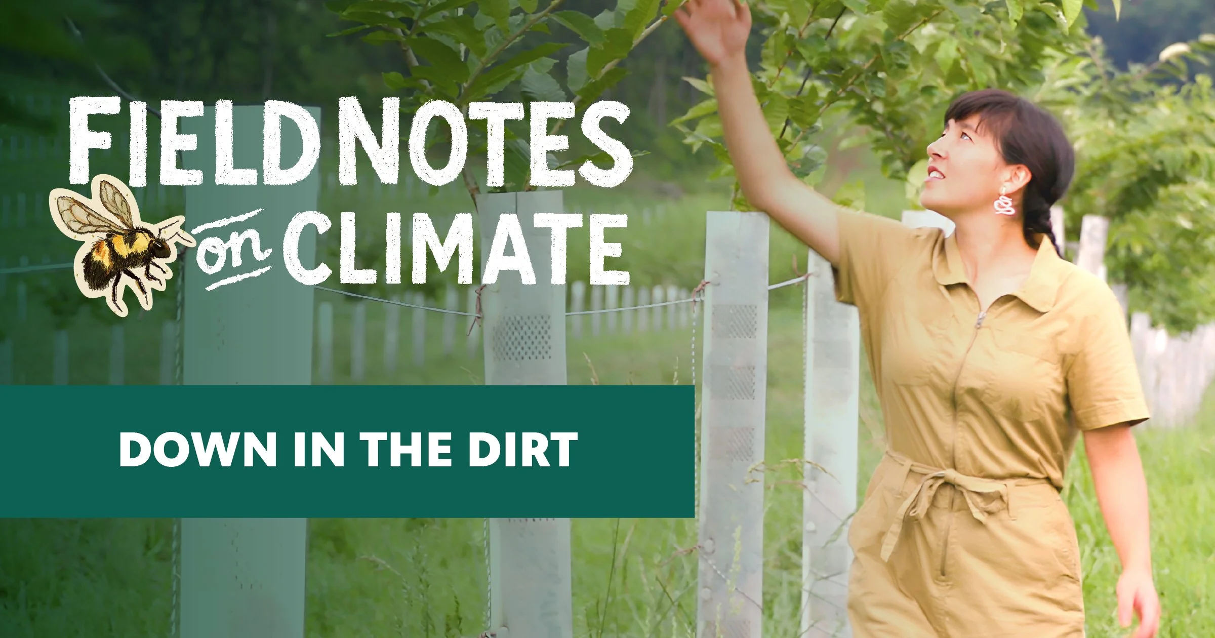 A wide social sharing graphic featuring a person in a khaki jumpsuit reaching up toward leafy tree branches while walking along a row of young trees. Bold white hand-lettered text on the left reads "Field Notes on Climate," with a bumblebee illustration and a teal banner below reading "Down in the Dirt."