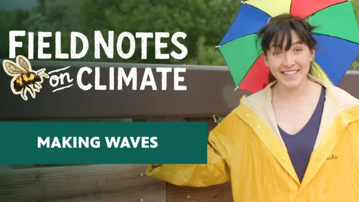 A social sharing graphic for the "Field Notes on Climate" series. A person wearing a yellow rain slicker and a multicolored umbrella hat smiles at the camera against a blurred outdoor background. Bold white hand-lettered text on the left reads "Field Notes on Climate" with a bumblebee illustration, and a teal banner below reads "Making Waves."