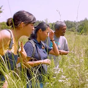 Three people stand side by side in a lush green meadow on a sunny day, looking out across tall grasses and wildflowers. They wear casual outdoor clothing and backpacks.