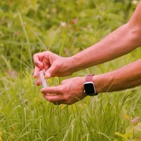A pair of hands holds a small clear glass vial upright in a field of green grasses and wildflowers. The person wears a red smartwatch on their wrist.