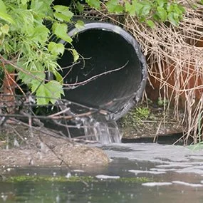 Water trickles out of a large dark drainage pipe into a murky waterway. Vegetation and tree branches hang over the pipe opening along the bank.