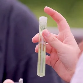 A hand holds up a small glass test tube filled with a pale green liquid in front of a blurred outdoor background.