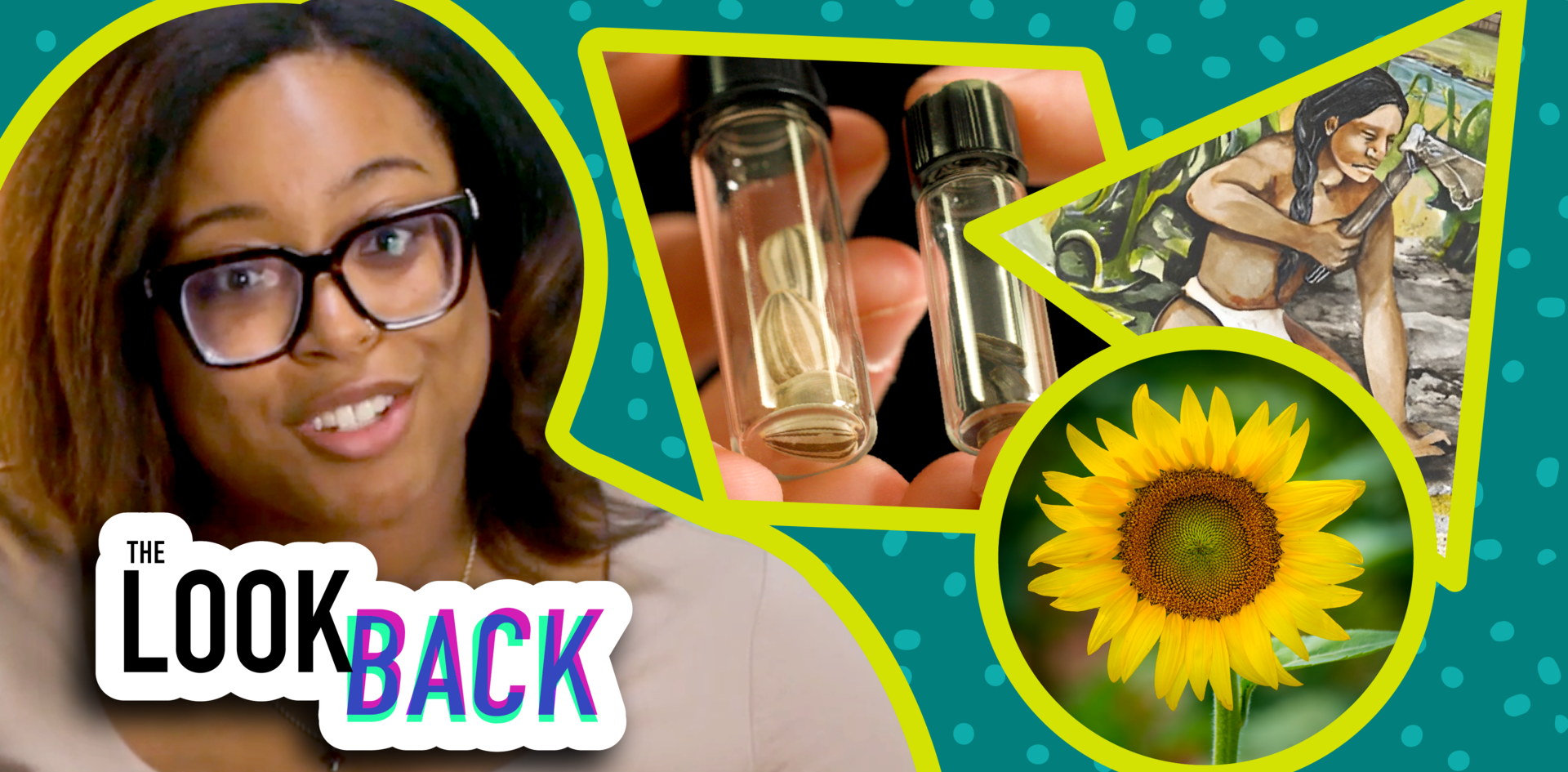 The Look Back episode slate: host on left; collage of seed vials, Indigenous farmer illustration, and sunflower.