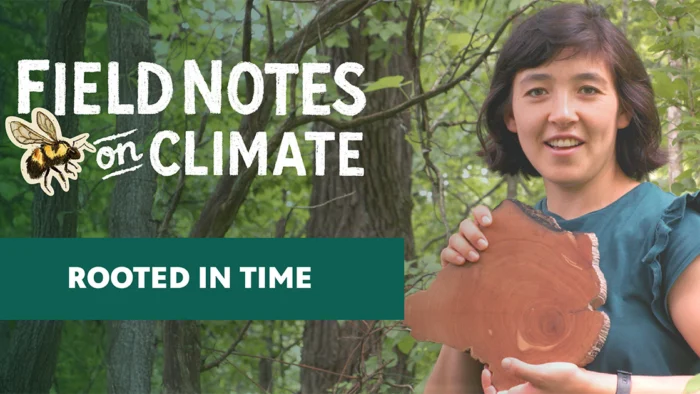 Facebook sharing image for Field Notes on Climate (bee logo), titled "Rooted in Time." A smiling woman holds a cross-cut log slice showing tree rings, standing in a wooded area.
