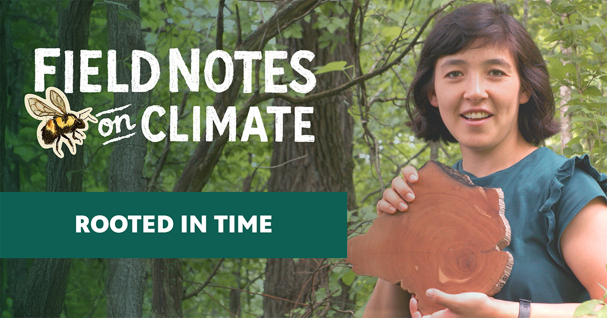 Facebook sharing image for Field Notes on Climate (bee logo), titled "Rooted in Time." A smiling woman holds a cross-cut log slice showing tree rings, standing in a wooded area.