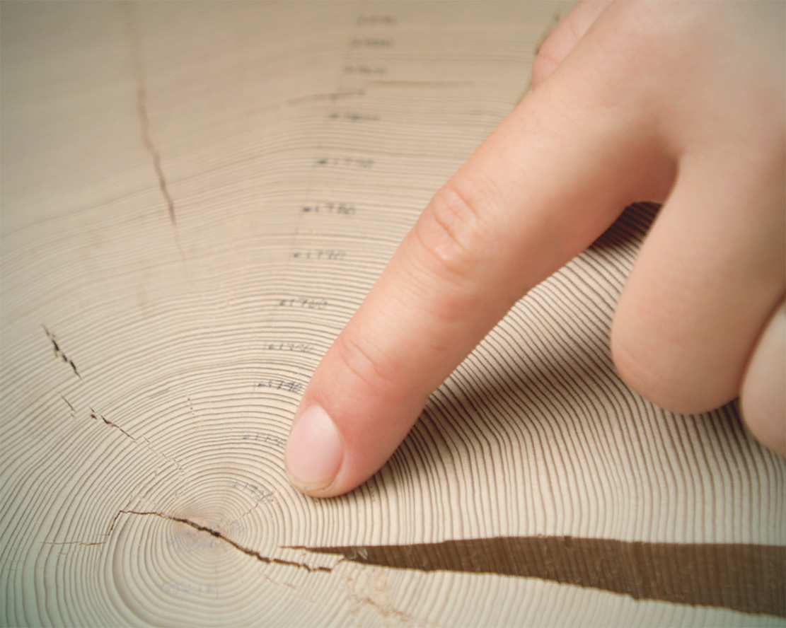 Close-up of a fingertip tracing tightly packed growth rings on a wood cross-section, with small handwritten date labels marking specific rings.