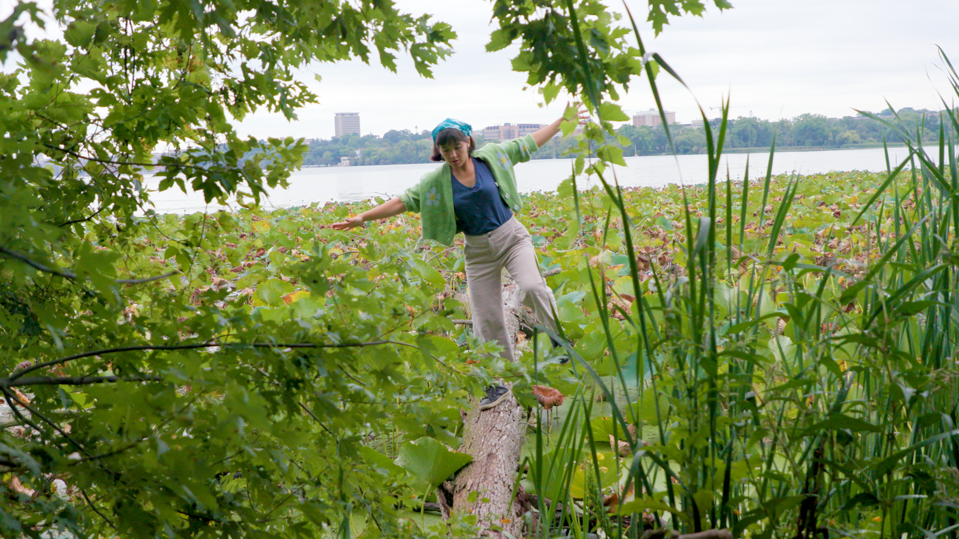 A person in a green cardigan and bandana balances on a log with arms out amid lily pads and reeds, a lake and city behind.